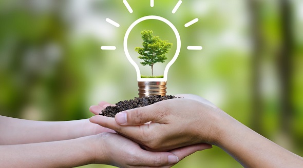 Illustration of light bulb and tree with soil in the palm of some hands