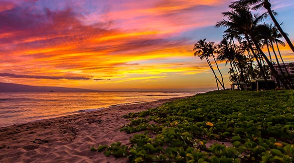 Blog: Discover Maui: The totally tropical destination for your next event